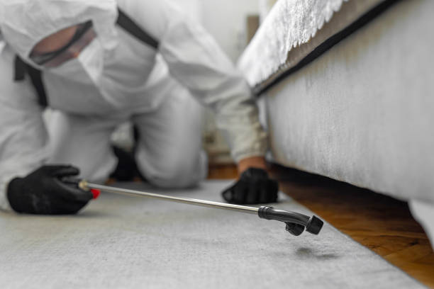 Professional Termite Control technician working in Scotchtown, NY